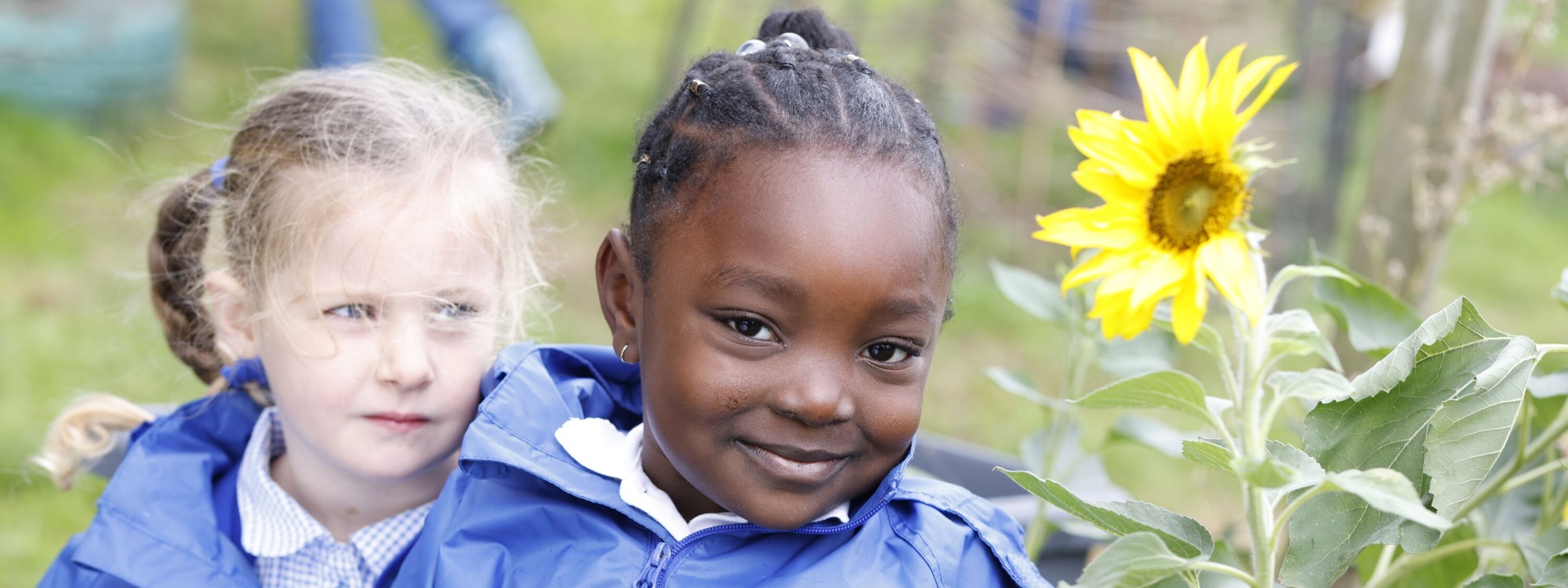 Admissions Shears Green Infant School